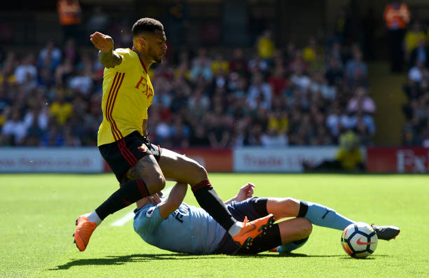 展现了其无 展现了其无